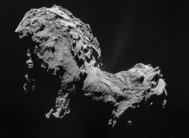 Komet 67P  (Foto: Wikimedia Commons)