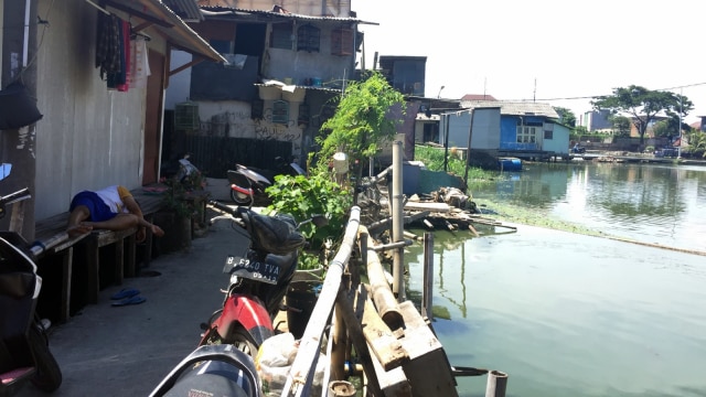 Kondisi Kampung Apung, Cengkareng (Foto: Mirsan Simamora/kumparan)