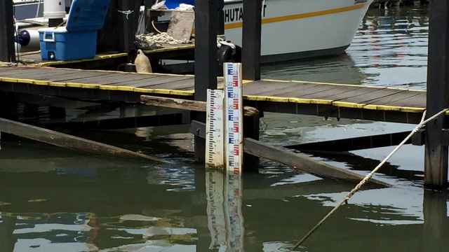 Kondisi Pantai Marina Ancol Yang Sejajar Dengan Tinggi Air