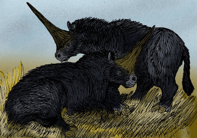 Elasmotherium sibiricum, unicorn di dunia nyata (Foto: Wikimedia Coommons)