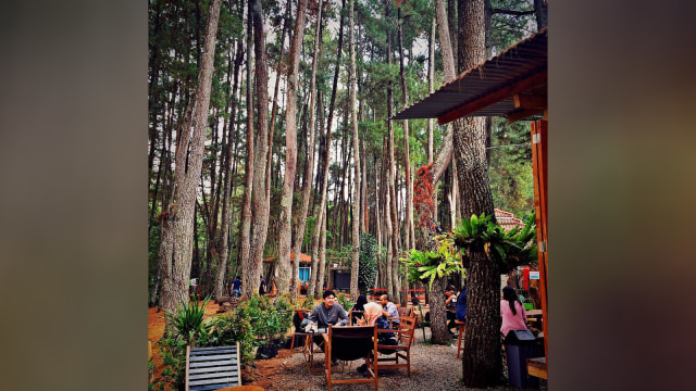 Kedai kopi di Bandung. (Foto: Instagram @napitpoldo)