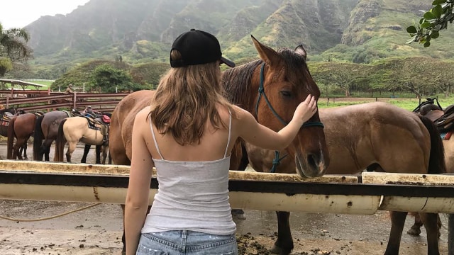 Peternakan di Kualoa, Hawaii. (Foto: Instagram @rwthieme)