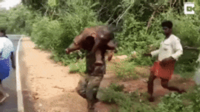 Sarathkumar Membopong Bayi Gajah. (Foto: YouTube Caters Clips)