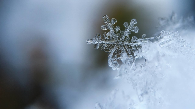 Snowflake, serpihan salju Foto: Pixabay