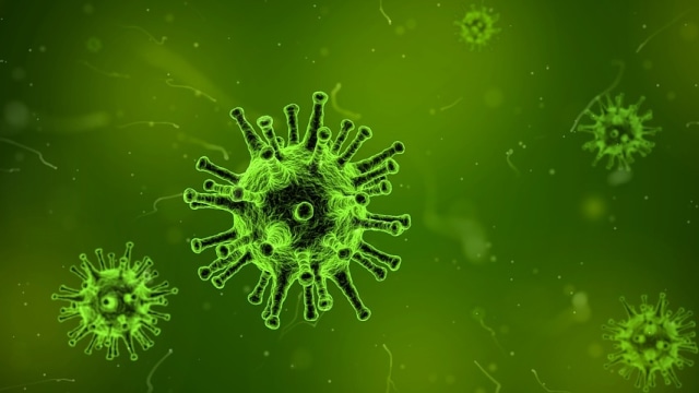Ilustrasi virus. Foto: Pixabay