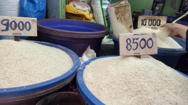 Harga beras 10 kg saat ini 