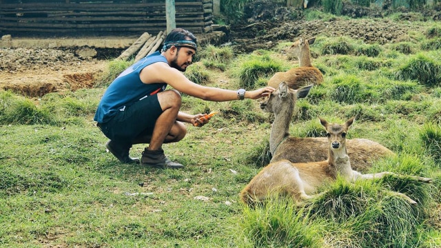 Pengunjung memberi makan rusa di Ranca Upas (Foto: Instagram/@lukman_hakim2909)