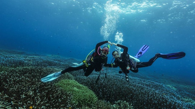 Scuba diving di Painemo (Foto: Instagram scubadiving_indonesia)
