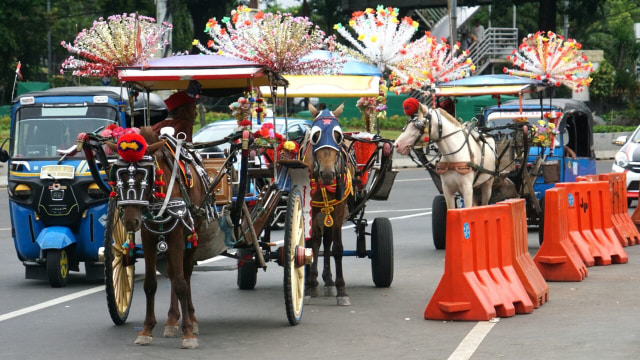 Peminat wisata delman masih sedikit  (Foto: Irfan Adi Saputra/kumparana)