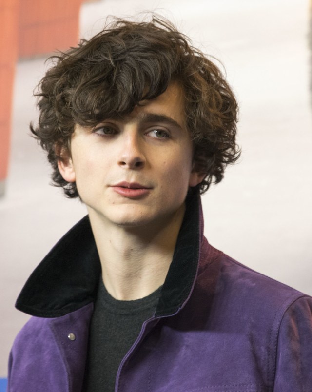 Timothée Chalamet (Foto: Wikimedia Commons)