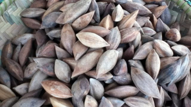 Kacang pili, superfood yang baik untuk jantung (Foto: Wikimedia Commons)