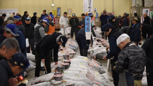 Pasar Ikan Tsukiji (Foto: AFP/Kazuhiro NOGI )