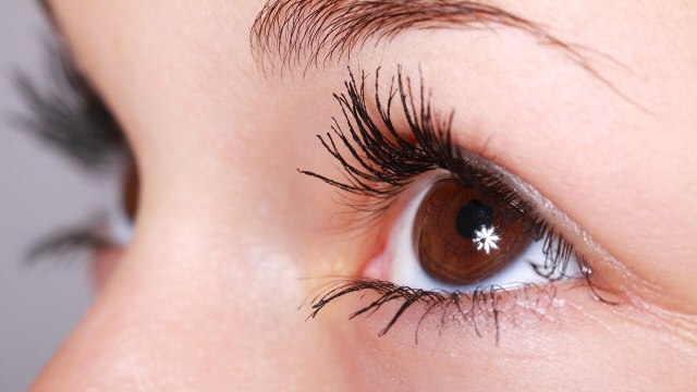 lustrasi Eyelash Extension (Foto: Pixabay)