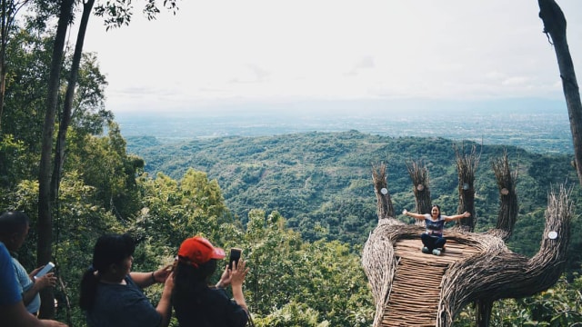 Hutan Pinus Pengger, Yogyakarta (Foto: Instagram @butjh)