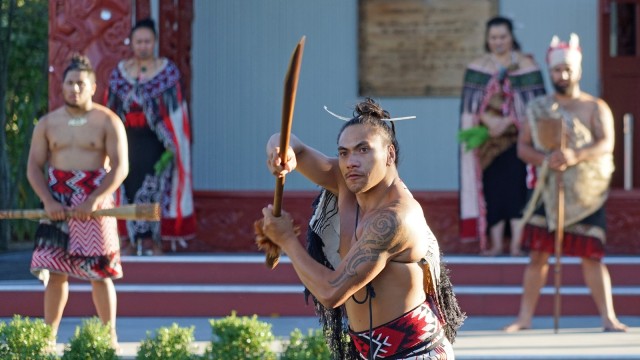 Suku Maori Foto: Pixabay