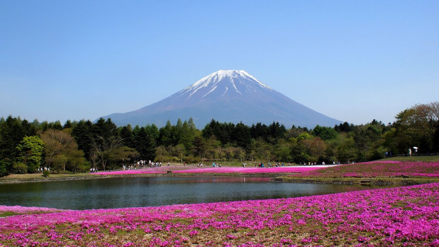 Gunung Fuji Kembali Dibuka Setelah Tutup Setahun karena Pandemi (3)