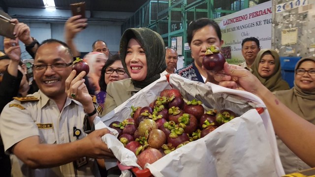Manggis Indonesia kembali Diekspor ke China (Foto: Dok. Badan Karantina Pertanian)