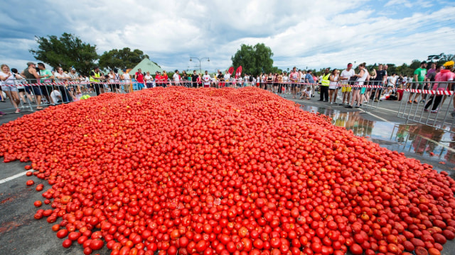 Sebelum la tomatina dimulai (Foto: Dok. El Lorquino)