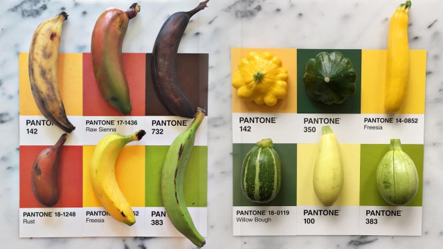 Makanan dan Pantone Colour (Foto: Instagram/ @lucialitman)