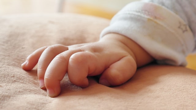 Bayi menyentuh (Foto: Pixabay)