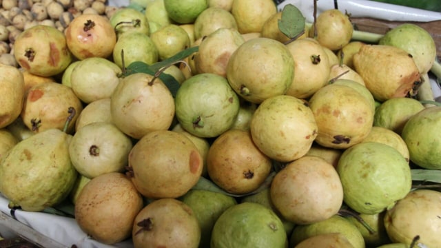 Buah Jambu biji (Foto: Iqbal Firdaus/kumparan)