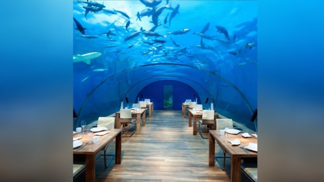 Ithaa Undersea Restaurant (Foto: Instagram @spectacular.earth)