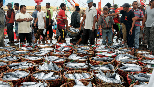 Nelayan lelang hasil tangkapan ikan (Foto: Antara/Ampelsa)