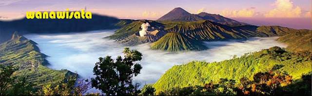Wana Wisata