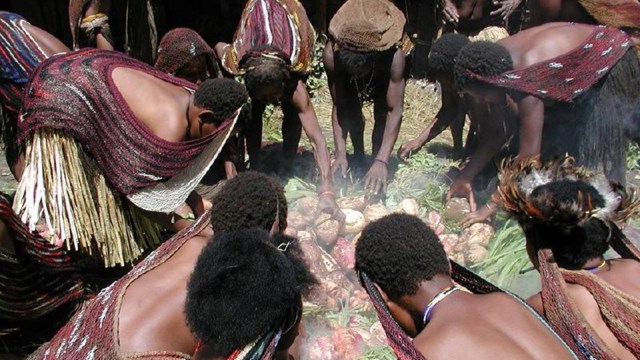 Tradisi bakar batu di Papua. (Foto: Wikimedia Commons)