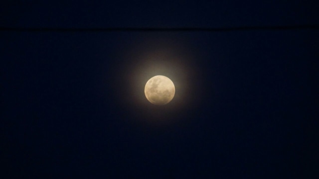 Detik - detik gerhana super blue blood moon di TIM Foto: Jamal Ramadhan