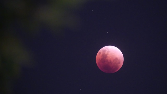 Gerhana Bulan dari kantor kumparan (Foto: kumparan)