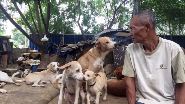 Suntoro Pemulung yang pelihara 26 ekor anjing (Foto: Mirsan Simamora/kumparan)