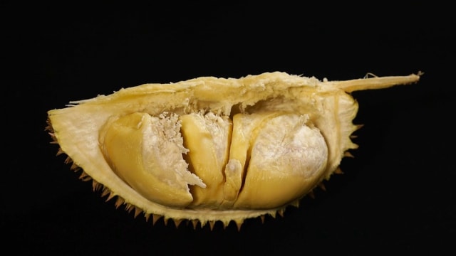 Ilustrasi Durian Foto: Dok, pixabay