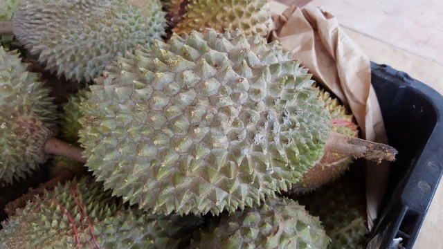 5 Fakta Menarik tentang Durian (Foto: Dok, pixabay)