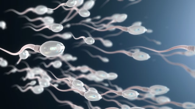 Ilustrasi sperma (Foto: THINKSTOCK )