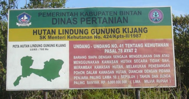 Illegal Logging Marak, Hutan Lindung Gunung Kijang Rusak Parah (1)