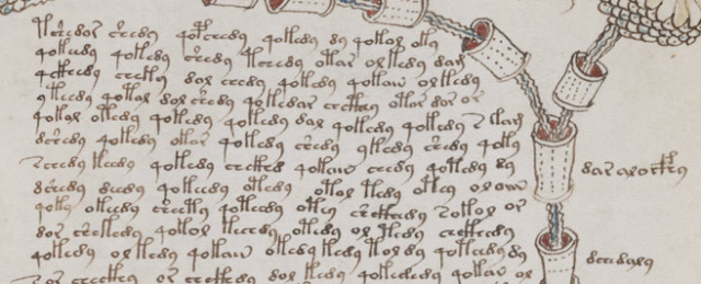Manuskrip Voynich (Foto: Beinecke Rare Book & Manuscript Library, Yale University)