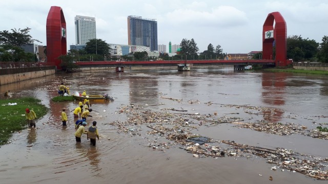 Petugas bersihakan Sungai Cisadane Foto: Aditia Noviansyah/kumparan