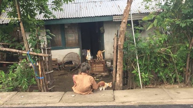 Mbah Kucing di Tuban. (Foto: Facebook Danang Priambodo via Media Informasi Orang Tuban (MIOT))