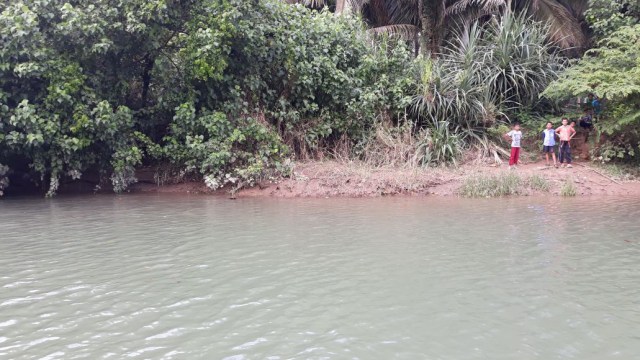 BKSDA Aceh Pasang Perangkap Buaya (Foto: Dok. BKSDA Aceh)