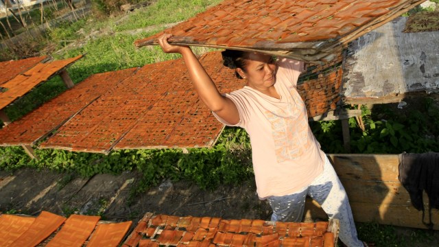 Peran perempyan dalam kegiatan ekonomi masyarakat desa. Foto: Antara/Irwansyah Putra