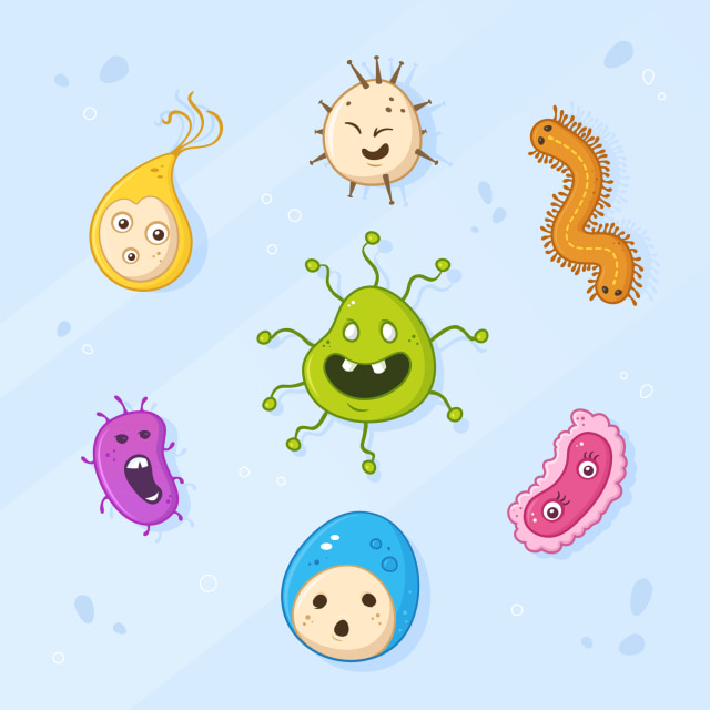 Ilustrasi bakteri (Foto: Thinstock)