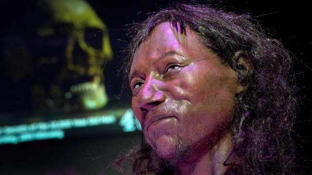 Model rekonstruksi Cheddar Man (Foto: Justin TALLIS/AFP)