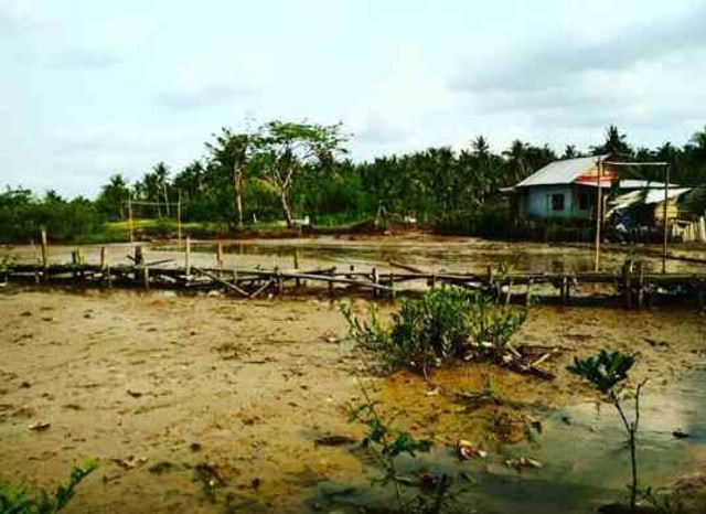 'Kampung Wisata' di Buffor Zone KEK Tanjung Lesung Punya Potensi Tapi Sayang (1)