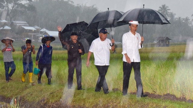 Presiden Joko Widodo di Kab. Tanah Datar. (Foto: dok. Agus Suparto - Presidential Palace)