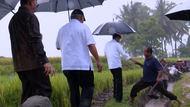 Jokowi tinjau pembangunan irigasi Sumatera Barat. (Foto: dok. Biro Pers Setpres)