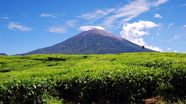 Gunung Kerinci (Foto: Wikipedia)