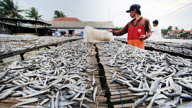 Ilustrasi Ikan Asin (Foto: Antara/Dedhez Anggara)