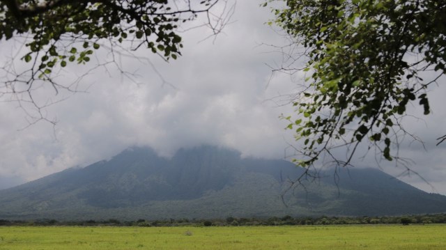 Suasana pemandangan di Baluran, Situbondo (Foto: Aditia Noviansyah/kumparan)