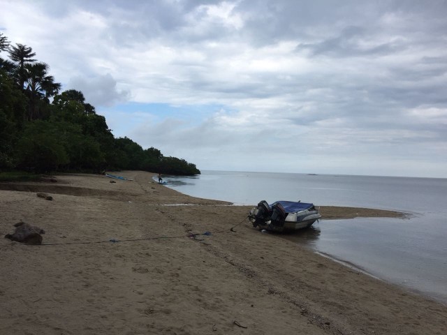 Pesona Pantai Di Taman Nasional Baluran Yang Mulai Meredup